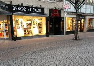 City Hotel - كريستينهامن