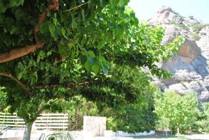 Guesthouse Eleftherios Achaia Greece