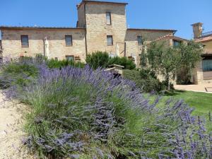 La Pieve di San Martino