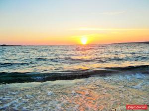 Pineta Spiaggia Grande 2 img42