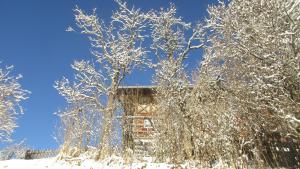 Achentaler Bauernhäusl