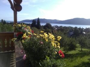 Attersee Gartenvilla