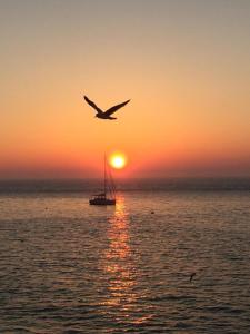 Hotels Hotel Des Falaises : photos des chambres