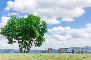 Villa Di Capovento - Fonterutoli