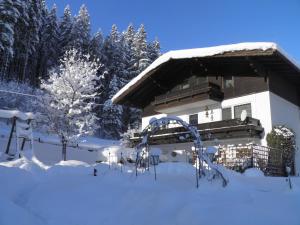 Ferienhaus Haus Silesia Abtenau Österreich