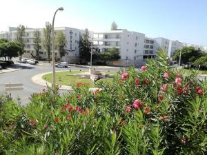 T1Encosta da Marina-Lagos