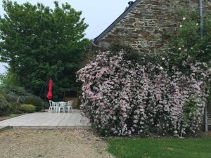 Maisons de vacances Gite Le Penker : photos des chambres