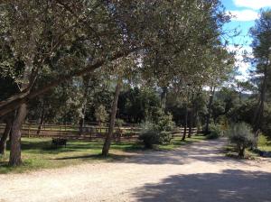 Séjour Pic Saint Loup