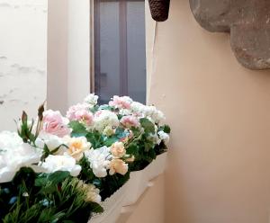 Velvet Loft - Santo Spirito Apartment