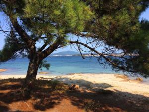 Isla de Arousa