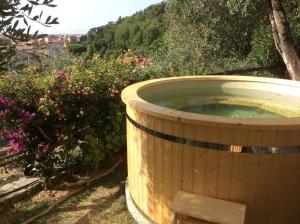 Olive Press Lodge