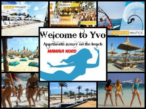 Yvo Lioness & Mamaia Nord