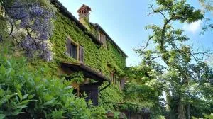 B&B Le Due Volpi - Ronta