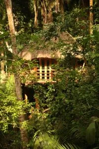 Aldea Bamboo Village - San Francisco