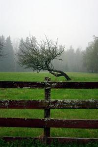 Smultronboda Fårgård