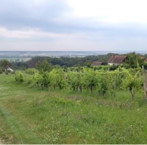 Altes Presshaus