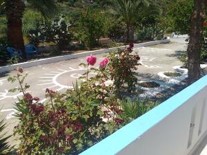 Dionysia Apartments Kos Greece