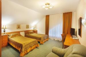 Double or Twin Room room in Sanatoriy Villa Arnest