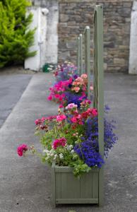 Cathedral View Apartments