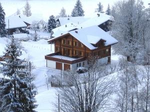 Chalet Studen