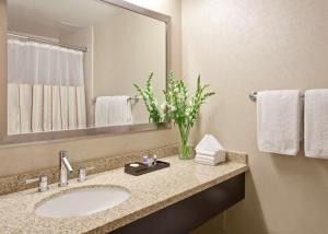 Double Room with Two Double Beds and Bath Tub - Disability Access room in Hyatt Regency O'Hare Chicago