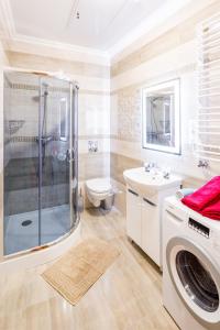 Apartments Alfa Kostyushka 5