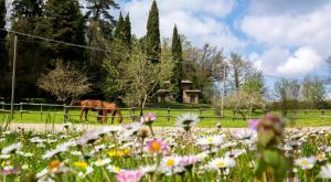 Castello Santa Cristina