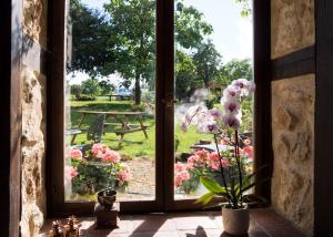 Maisons de vacances chez daisy : photos des chambres