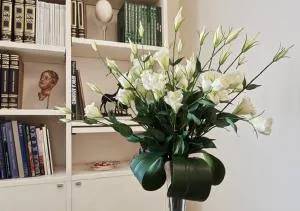 Bed and Breakfast For You - سيتّيمو