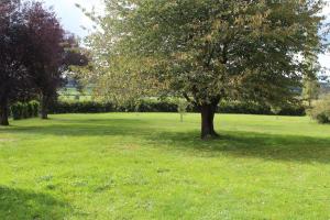 Maisons de vacances Le Clos de Ramousies : photos des chambres