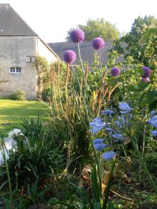 B&B / Chambres d'hotes Ferme de Savigny : photos des chambres