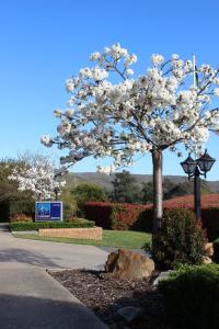 Hume Country Motor Inn