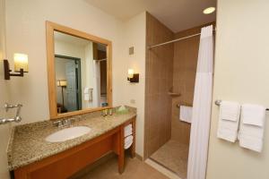 Queen Sofa Suite room in Great Wolf Lodge Colorado Springs