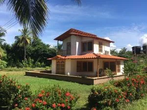 El palmar azul - Moñitos