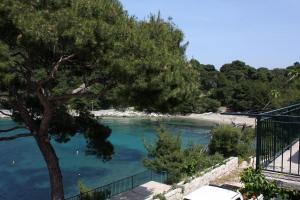3 star apartment Apartments by the sea Cove Saplunara, Mljet - 4932 Saplunara Croatia