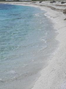 Is Benas Country Lodge img37