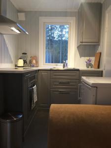 Koselig Hytte i Hemsedal with outdoor Sauna