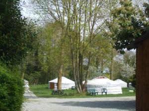 Campings Village de Yourtes : photos des chambres