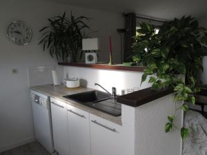 Appartements Le Chambron : photos des chambres