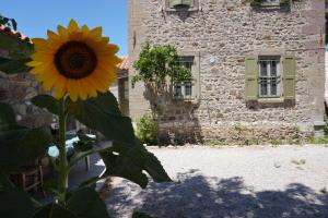 Chalantra Residence Lesvos Greece