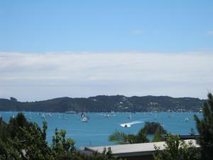 Decks of Paihia