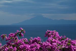 Scandia Villas Thassos Greece