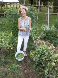 B&B / Chambres d'hotes Les Arts Verts : photos des chambres