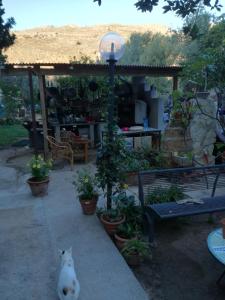 The Garden