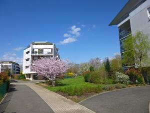 Appartements Beau Rivage Appart' : Appartement avec Terrasse