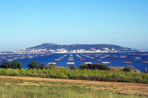 Appartements Port Mezua : photos des chambres