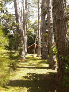 Refúgio Ecológico Amadamata