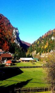 Pensiunea Ianis Moieciu