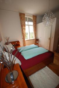 Appartements in zentraler Lage