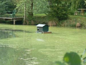 Maisons de vacances gite de la maison de l'etang : photos des chambres